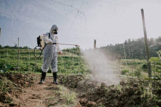 Best Mosquito Control Services  in Stratford, TX