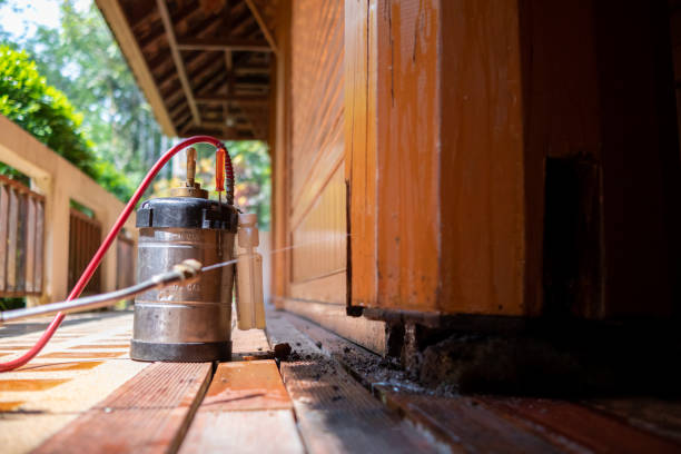 Best Local Pest Control Services  in Stratford, TX