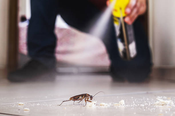 Best Wildlife Control Services  in Stratford, TX