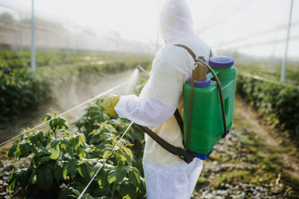 Best Pest Control Near Me  in Stratford, TX